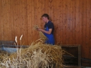 Erntekrone binden 2006