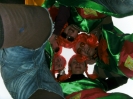 Karneval - Hauenhorst 09